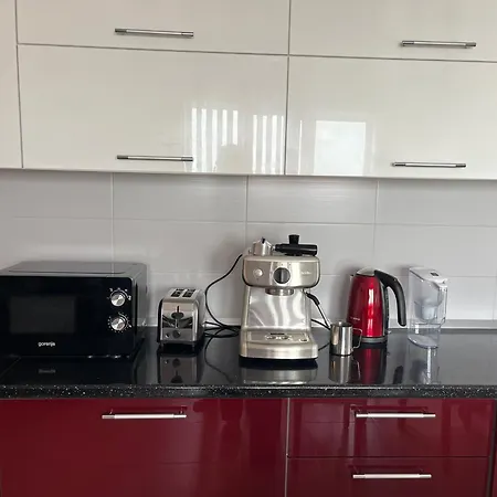 Apartment Penthouse Buenavista *