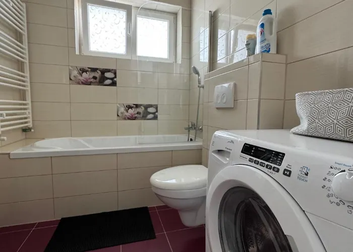 公寓 Penthouse Buenavista 布拉索夫